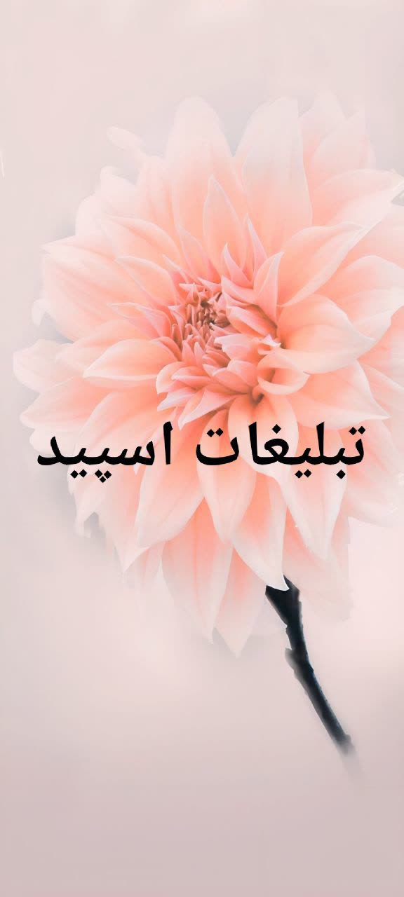 گپ تلگرام چتکده مهربانی
