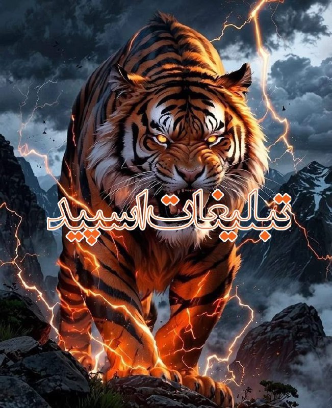 وایلد ولف (85)