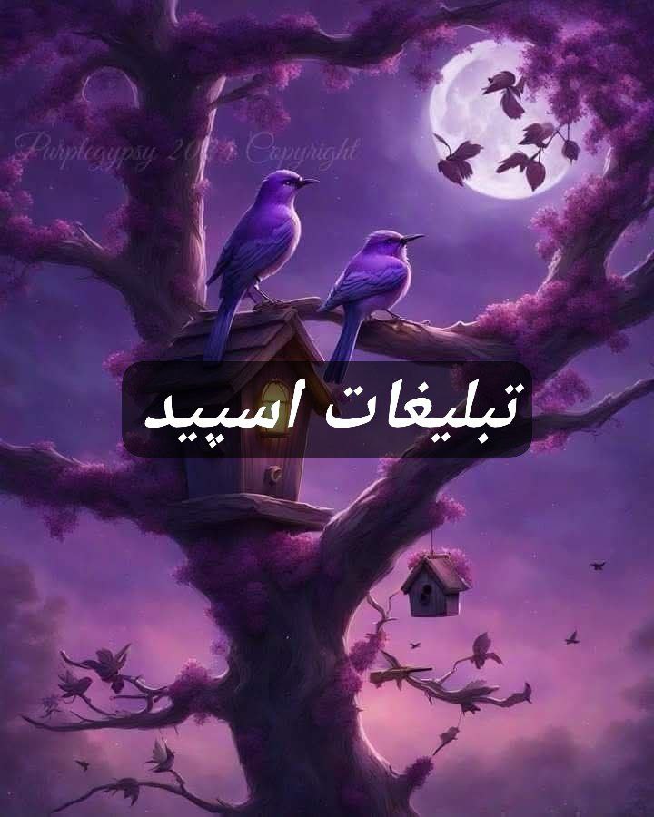 گپ تلگرام قلمروه ملکه