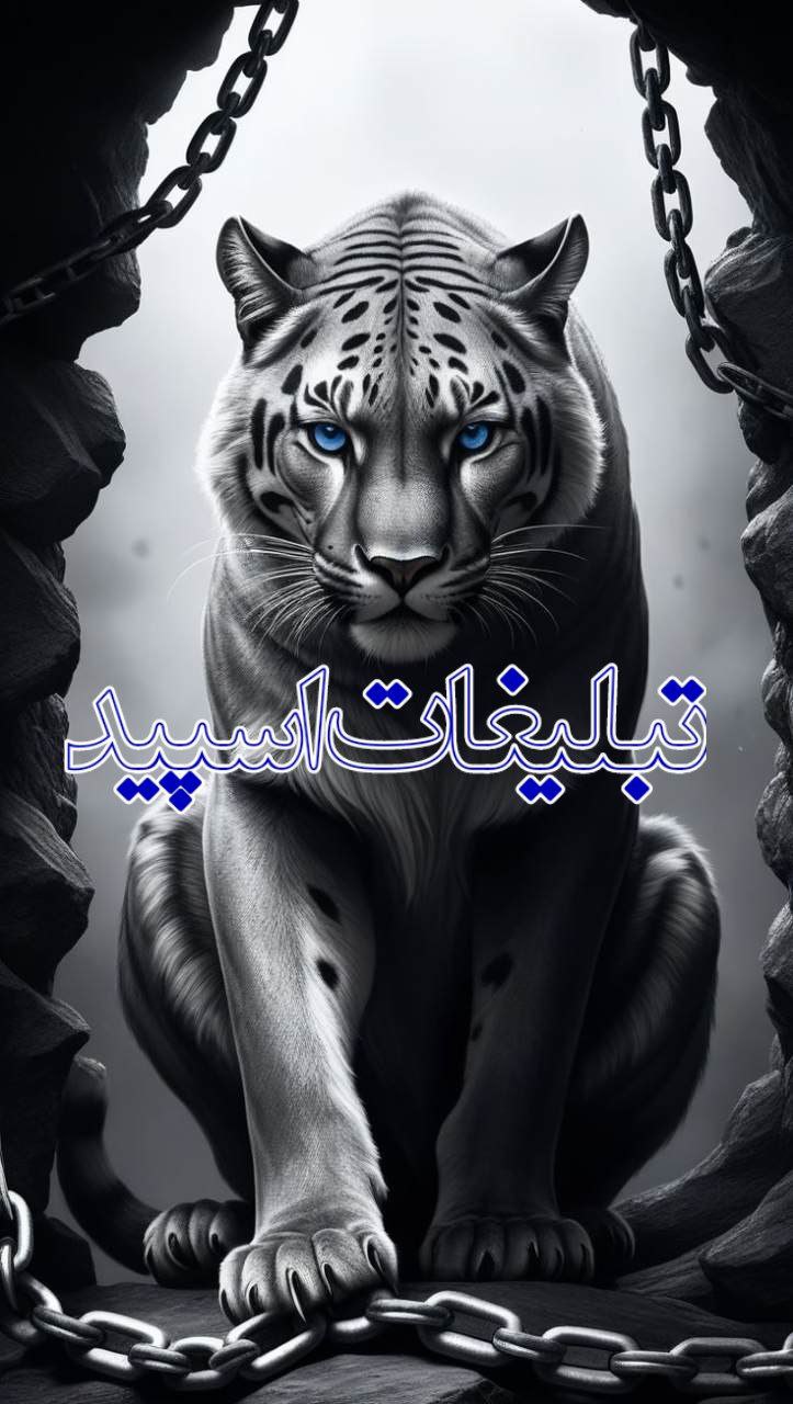 𝐖𝐀𝐑𝐌 𝐇𝐔𝐆