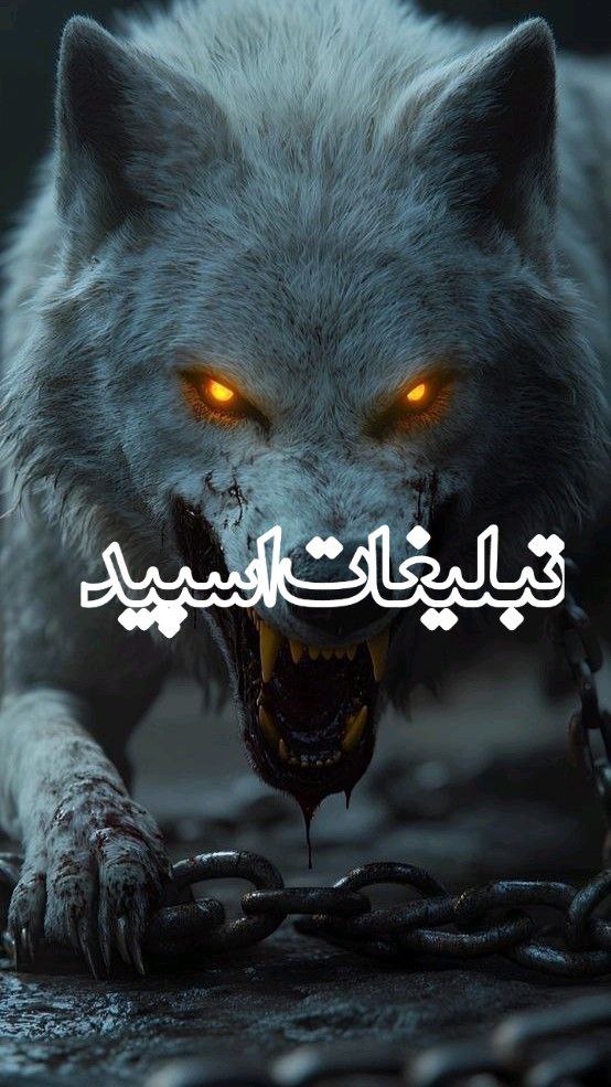 دوستان بامعرفت (4)