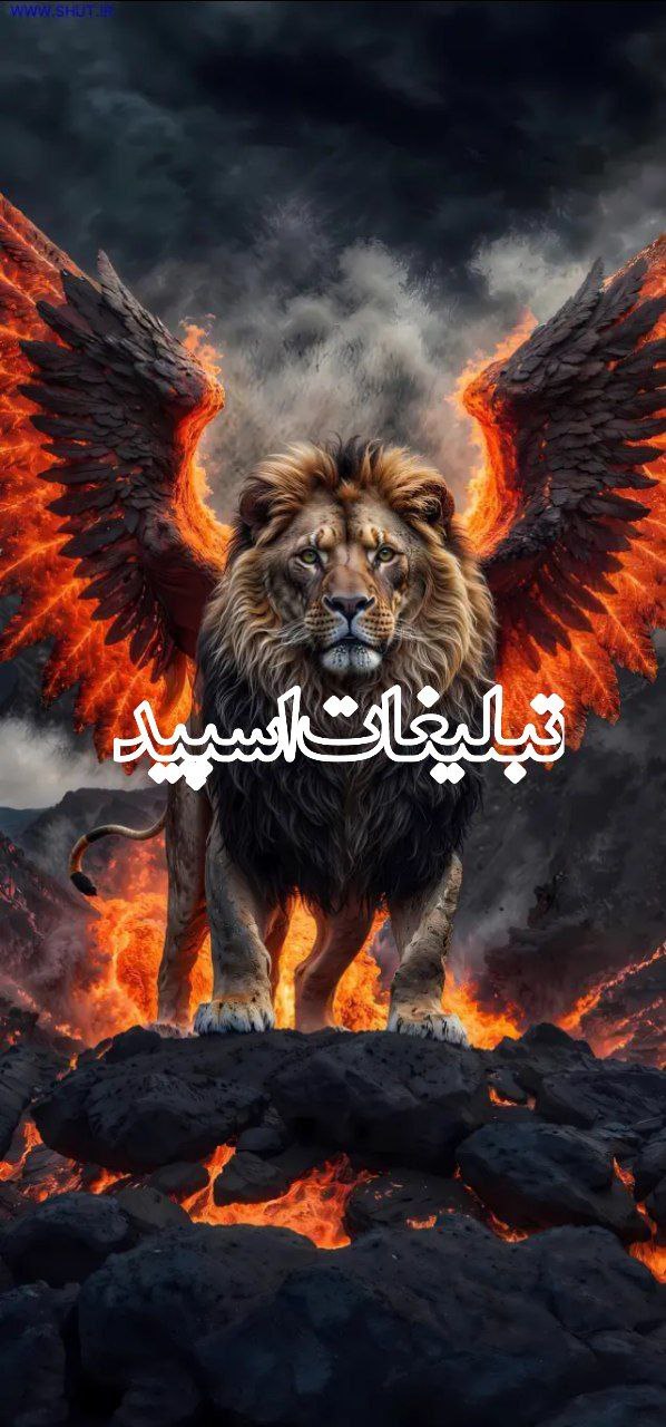 دوستان بامعرفت (28)