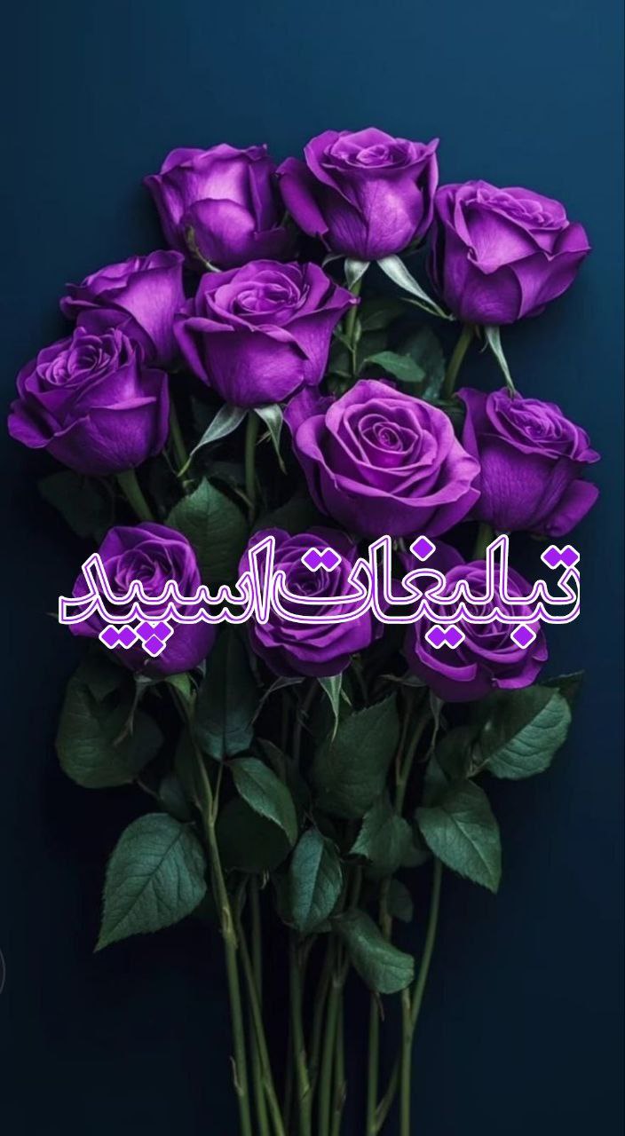 ⎯꯭᪵̽𝆺꯭𝅥𝐖𝐈𝐋𝐃𓆩᪵🜲꯭𓆪̥𝐖𝐎𝐋𝐅⎯꯭꥓᪵ͯ⟶ (166)