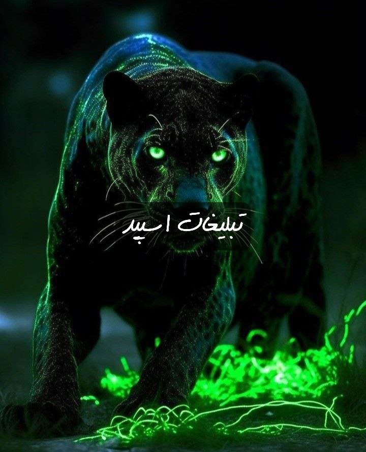 گروه تلگرام اوای عشق
