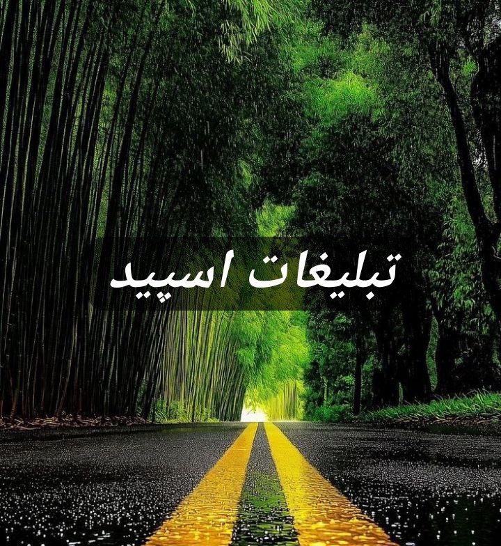 گروه تلگرام سیتی لند