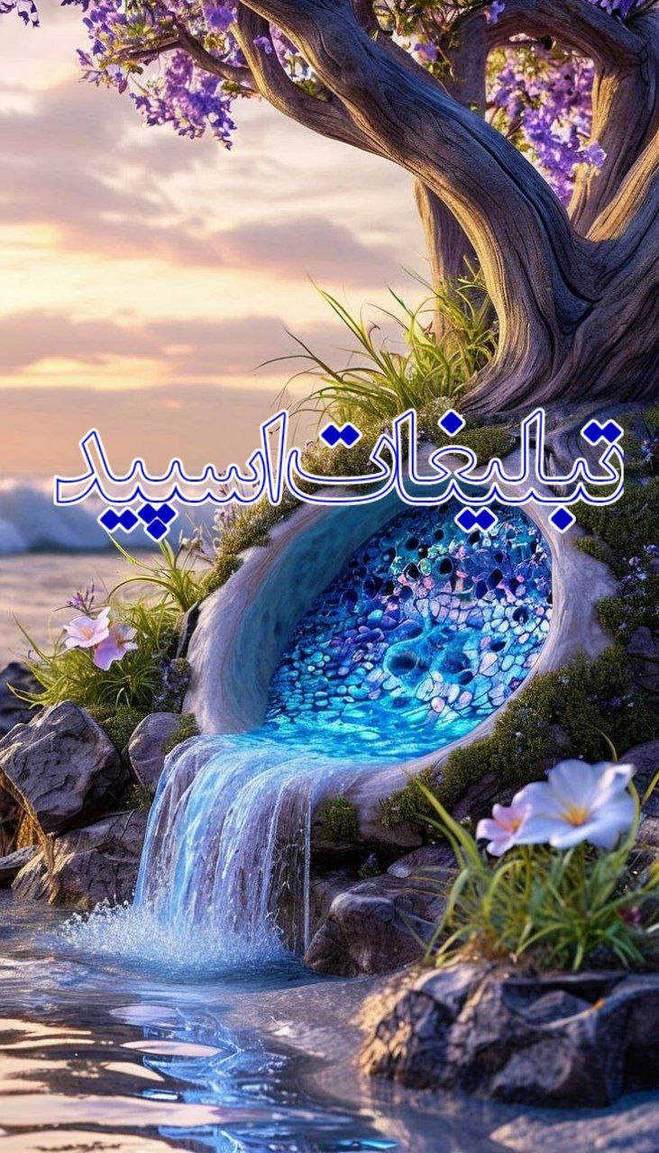 ولف لند (10)