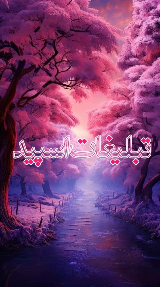 طرح ویژه حمایت از مالکین آنلاین (2)