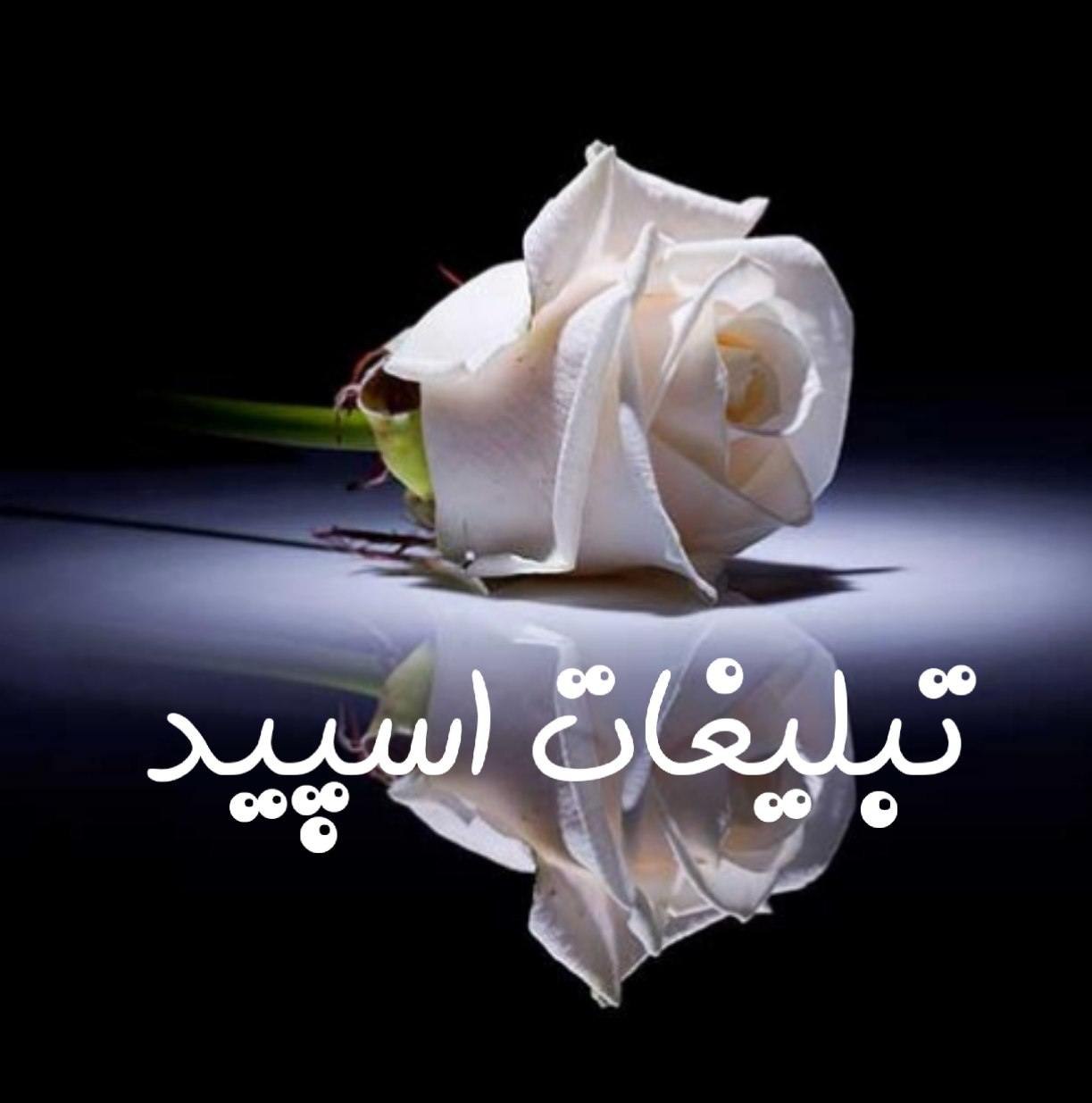 گروه چت تلگرام تهران کرج و قزوین