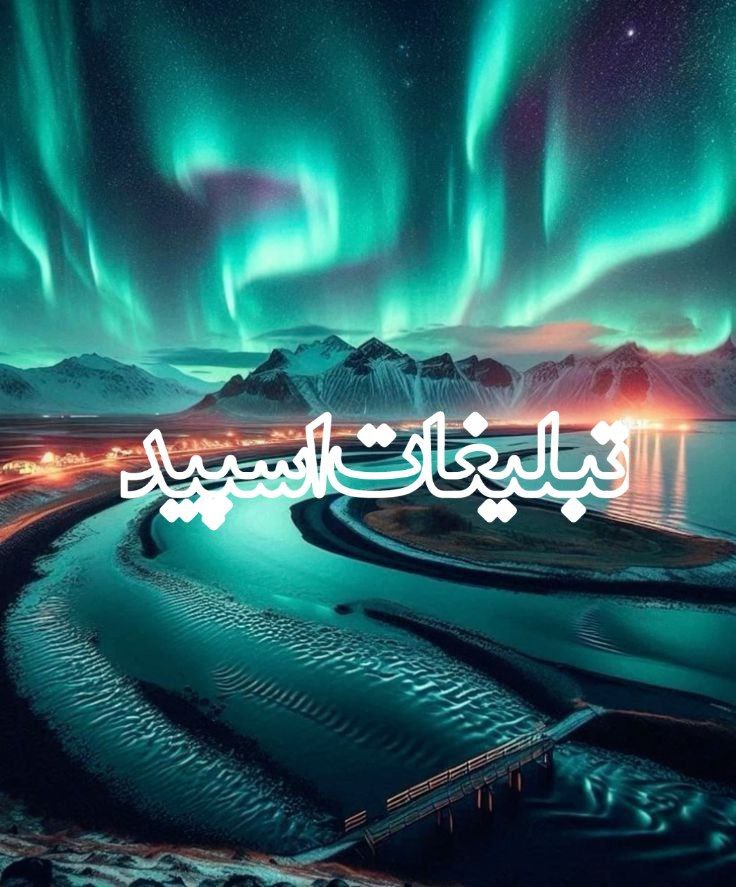 وایلد ولف (316)