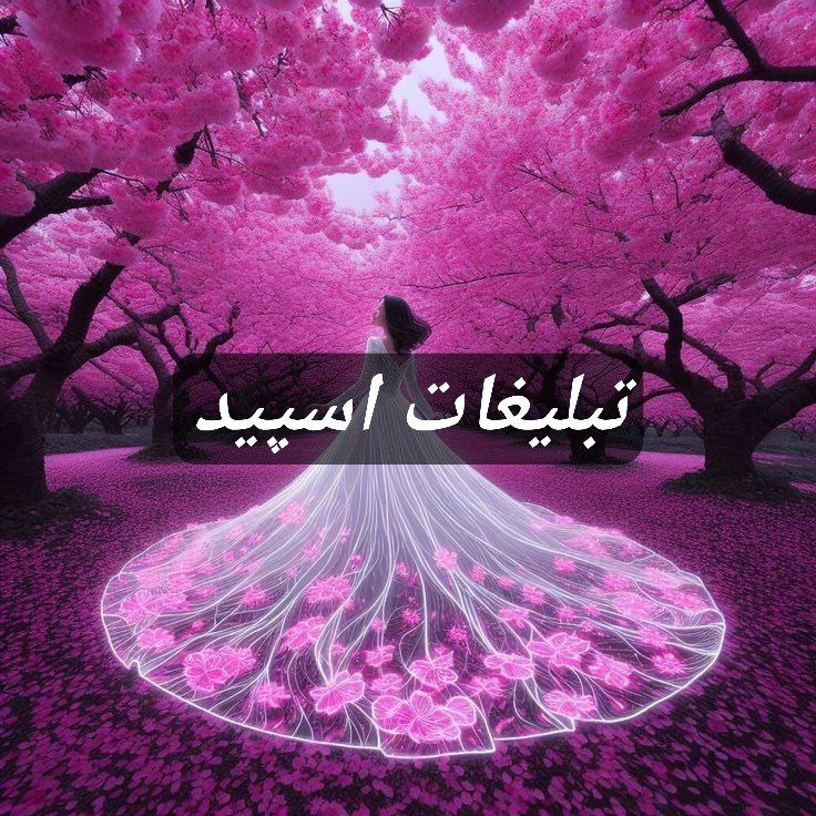 گپ تلگرام TNT 
