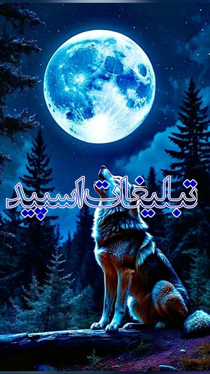 گرگ های وحشی (10)