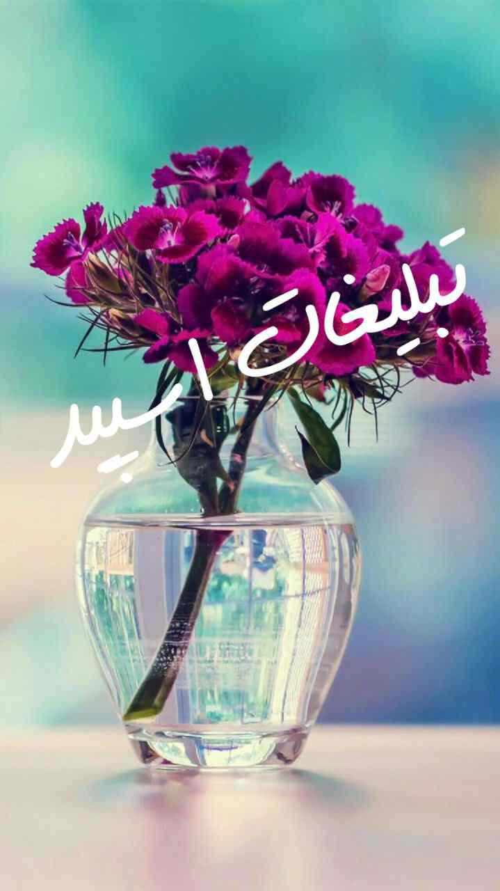کانال ایتا ایده و ترفند کیوت لند