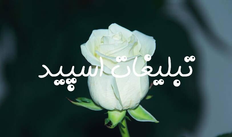 گروه چت تلگرام تاکسیک