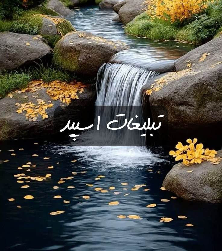 گروه تلگرام بامراما