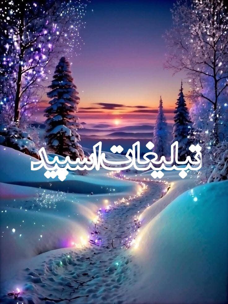 وایلد ولف (181)