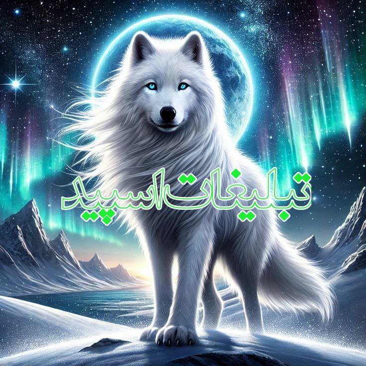 دعوت به همکاری (28)