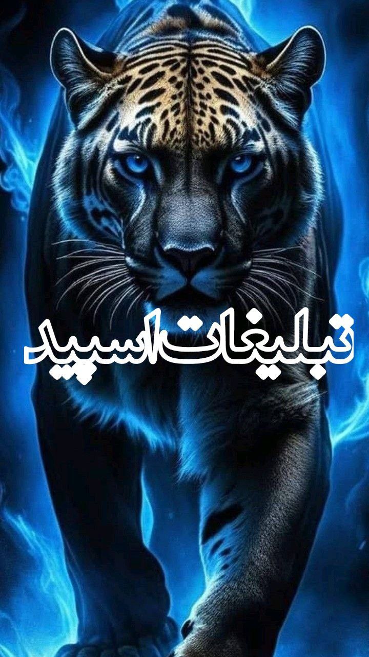 💓کلبه خاطره ها 💓 (5)