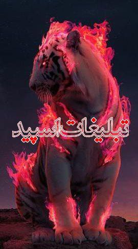 رفقای با معرفت