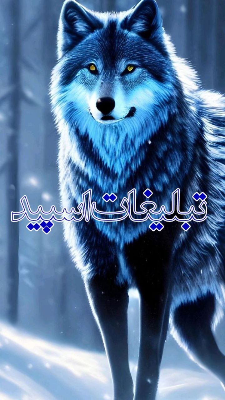 🦋 گروه وفاداران 🦋 (8)