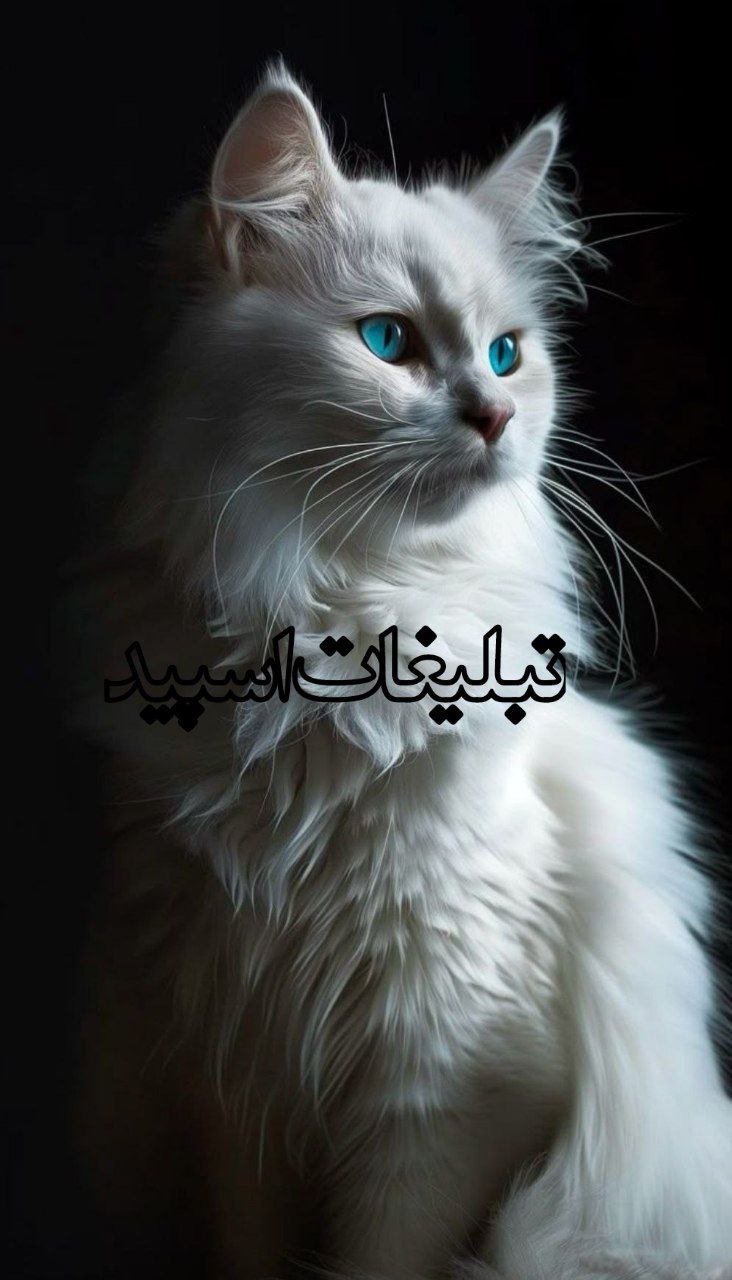 💗💘  Ｃᒪ𝔲в 𝓀ｈ𝔸𝓽€𝐫𝐞Ｈⓐ  🍟✊ (2)