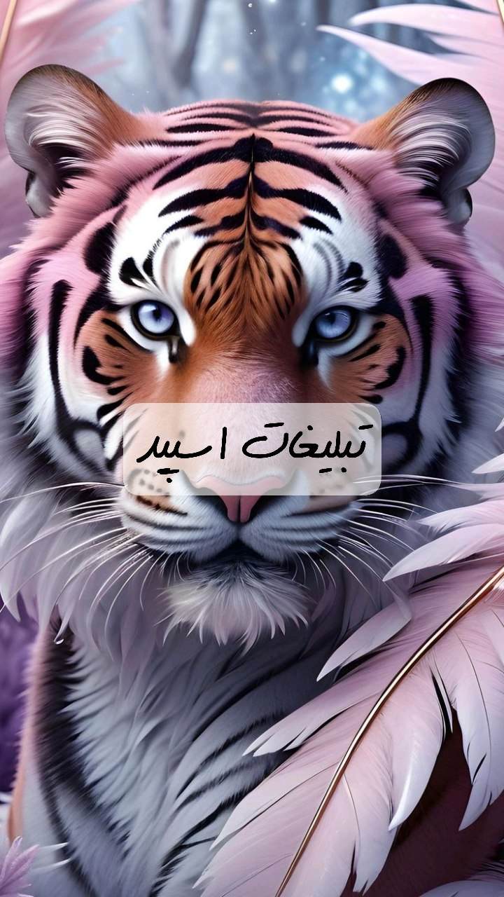 گروه تلگرام شبهای زیبای البرز