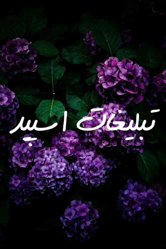 گپ تلگرام روزهای عاشقی