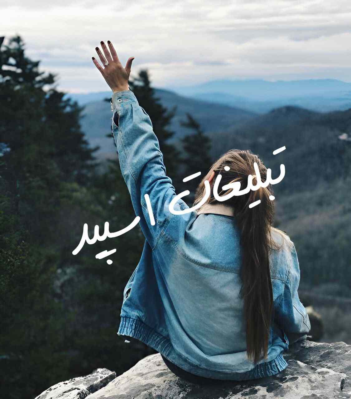 گروه چت وایلدولف