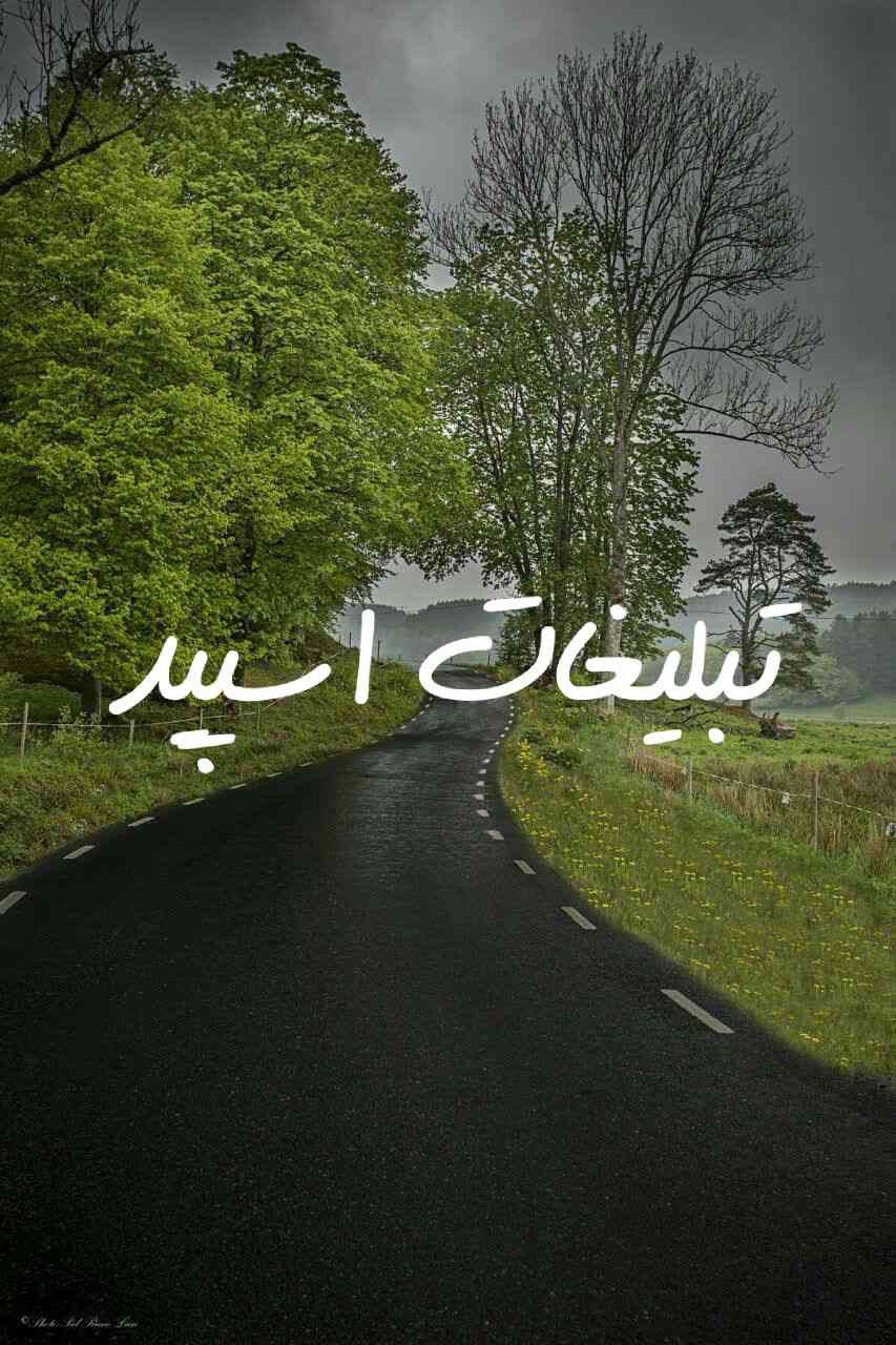گروه تلگرام عشقولا