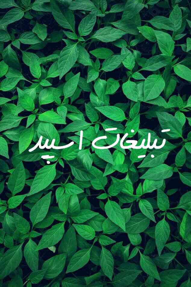 گپ تلگرام کلبه مهربونی تهران