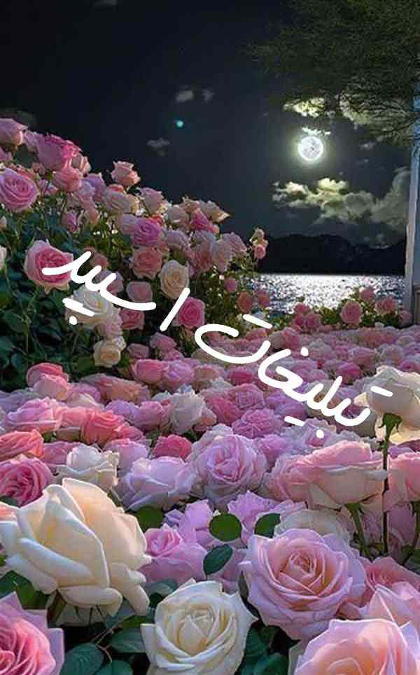 کانال روبیکای پزشکی و روانشناسی