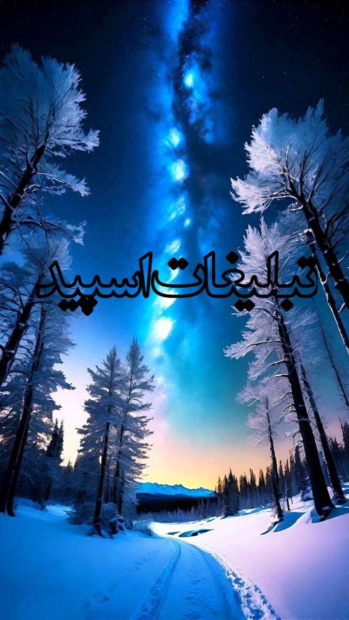 وایلد ولف (254)