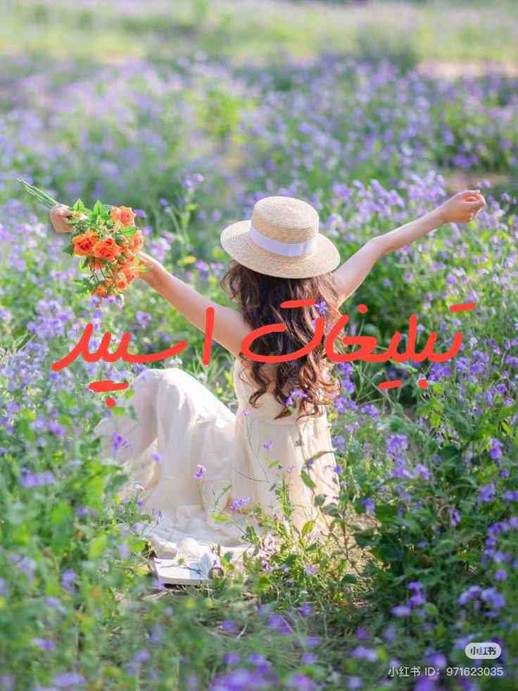 گپ تلگرام دورهمی مشهدیا 