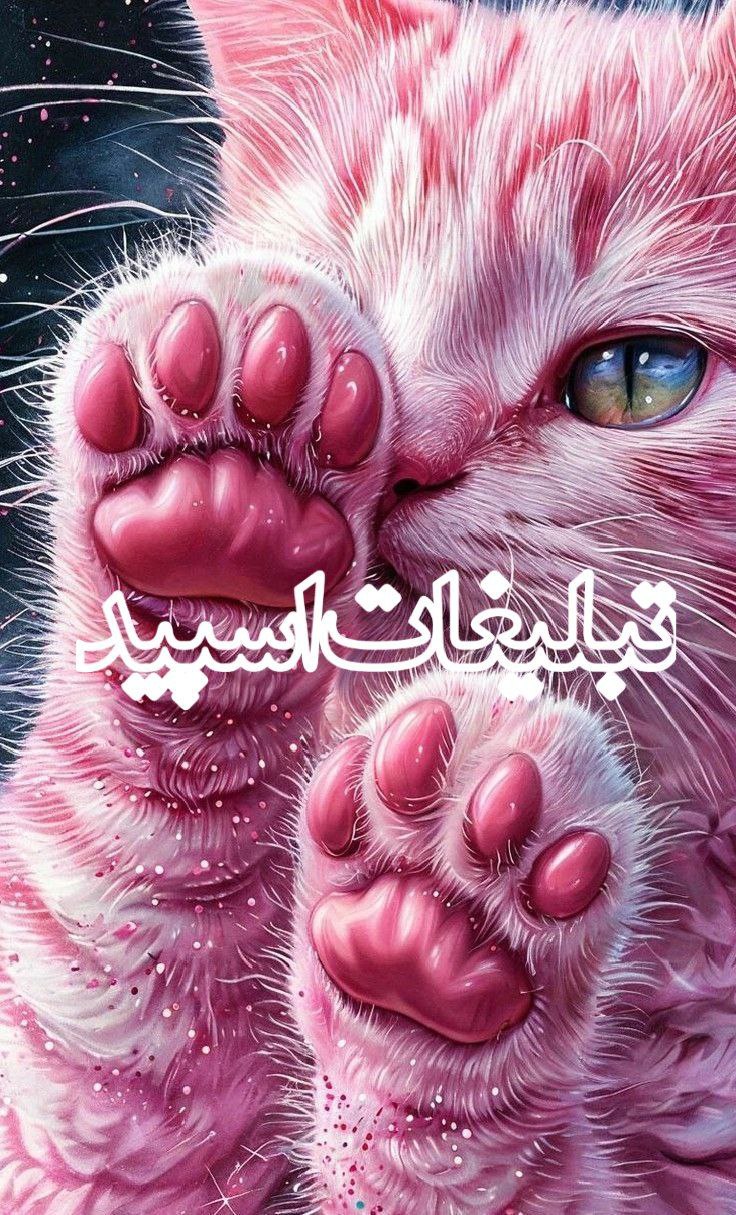 در امتذاذ شب