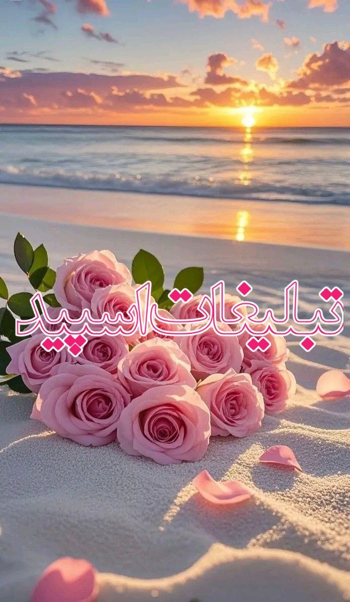 ولف لند (9)