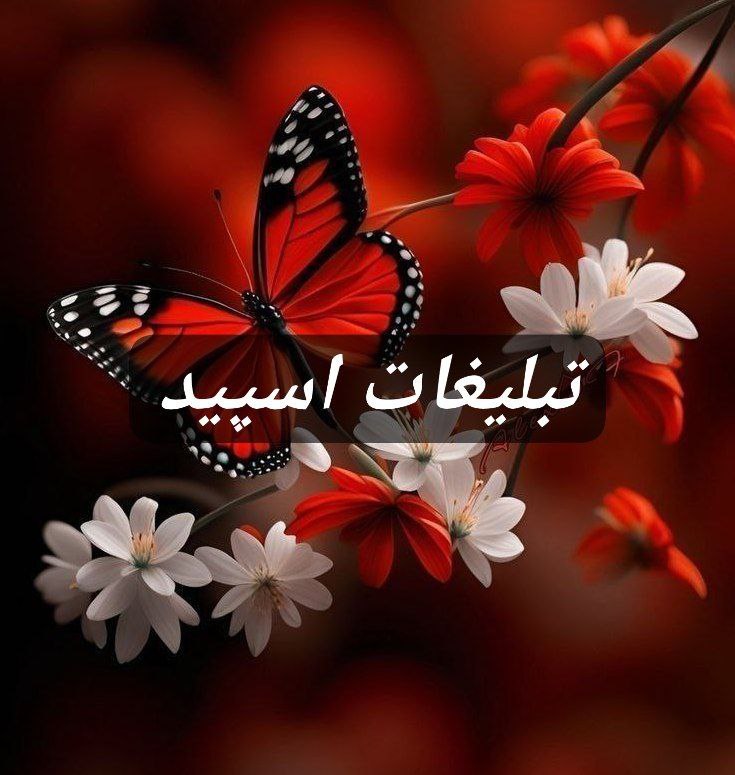 گپ تلگرام کافه دلها شیراز