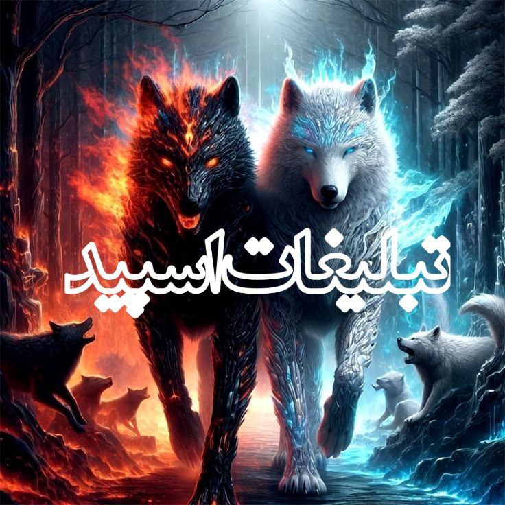 وایلد ولف|WILD WOLF (104)