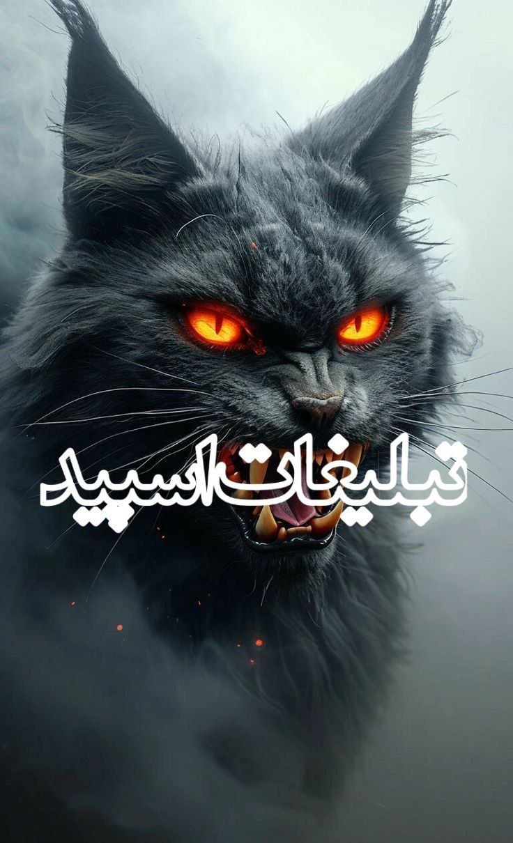 وایلد ولف (265)