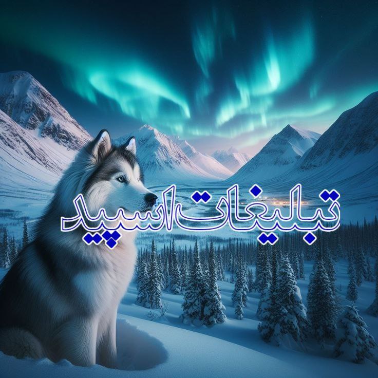 💕دوستان ماندگار 💞