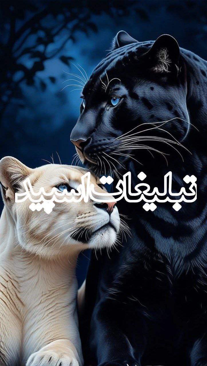 💞sحـٰٖـۘۘــٍٰرٰٖیـٰٖـۘۘــٍٰمۘۘ عـٰٖـۘۘــٍٰشـٰٖـۘۘــٍٰقۘۘs💕 (1)