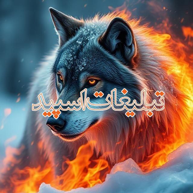 وایلد ولف|WILD WOLF (78)
