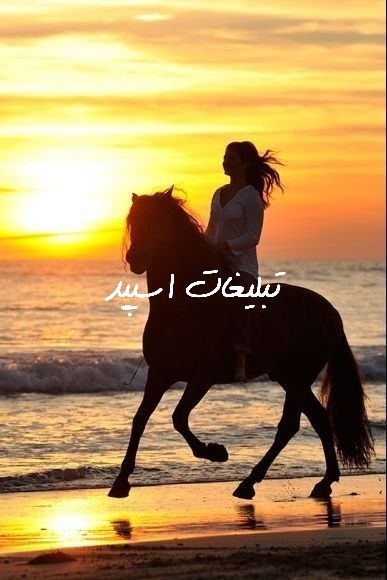 گروه تلگرام دورهمی شیرازیا