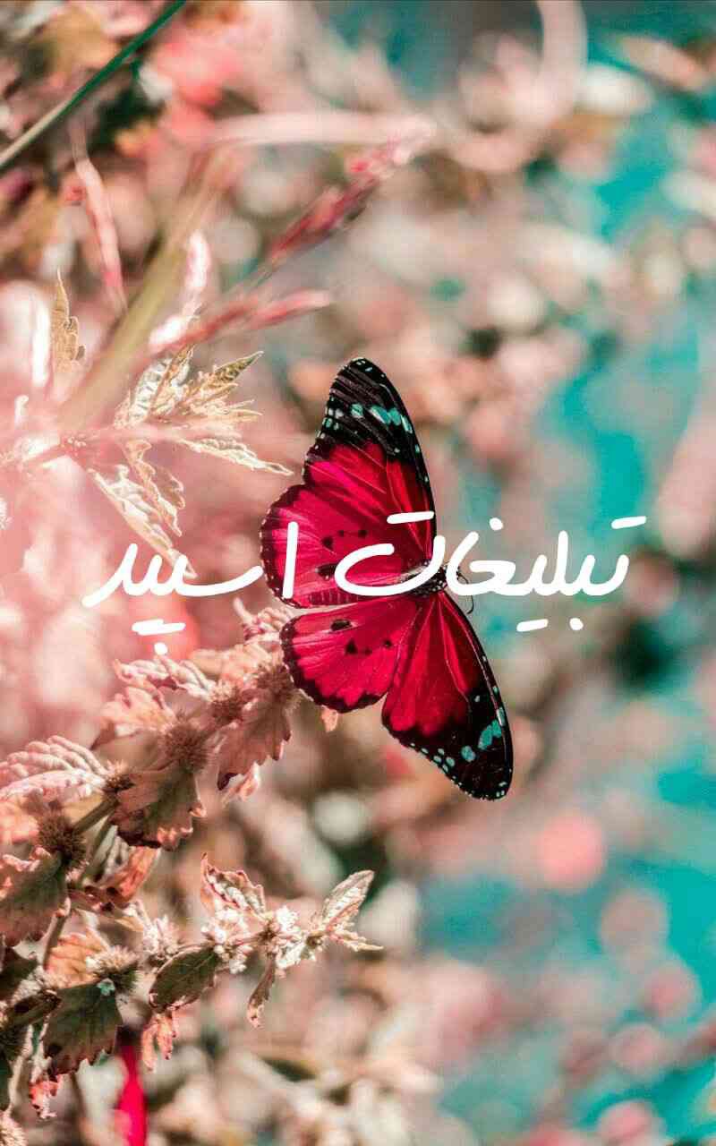 گپ تلگرام دوستان لاکچری