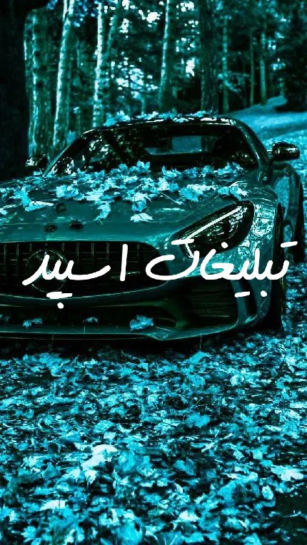 گروه چت تلگرام تبریز اردبیل ارومیه