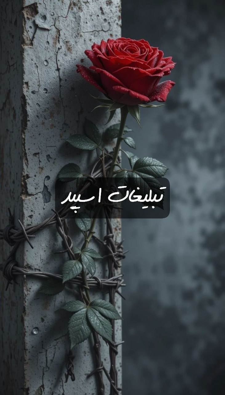 گپ تلگرام اشوبگران 