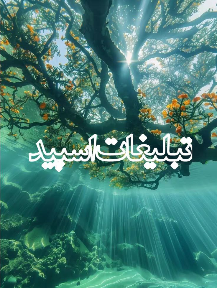 ⎯꯭᪵̽𝆺꯭𝅥𝐖𝐈𝐋𝐃𓆩᪵🜲꯭𓆪̥𝐖𝐎𝐋𝐅⎯꯭꥓᪵ͯ⟶ (183)