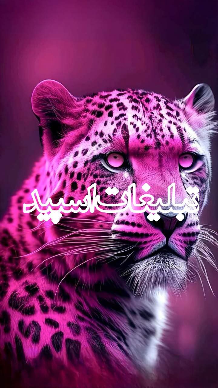 سلطان عشق