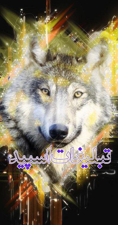 تبلیغات