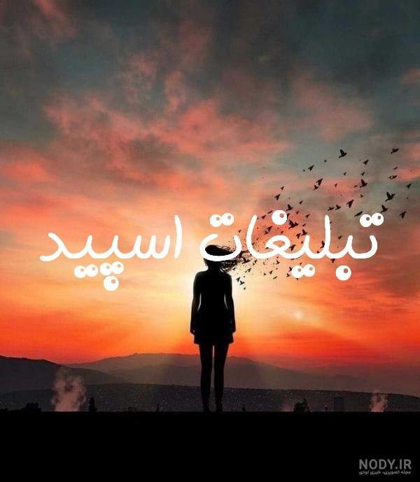 گروه چت تلگرام دورهمی اسفنجی