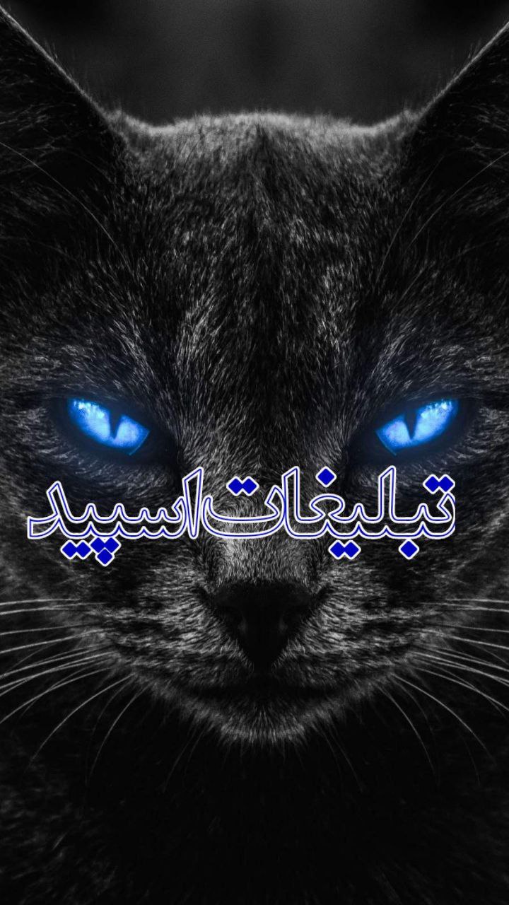 گروه نیش عقرب