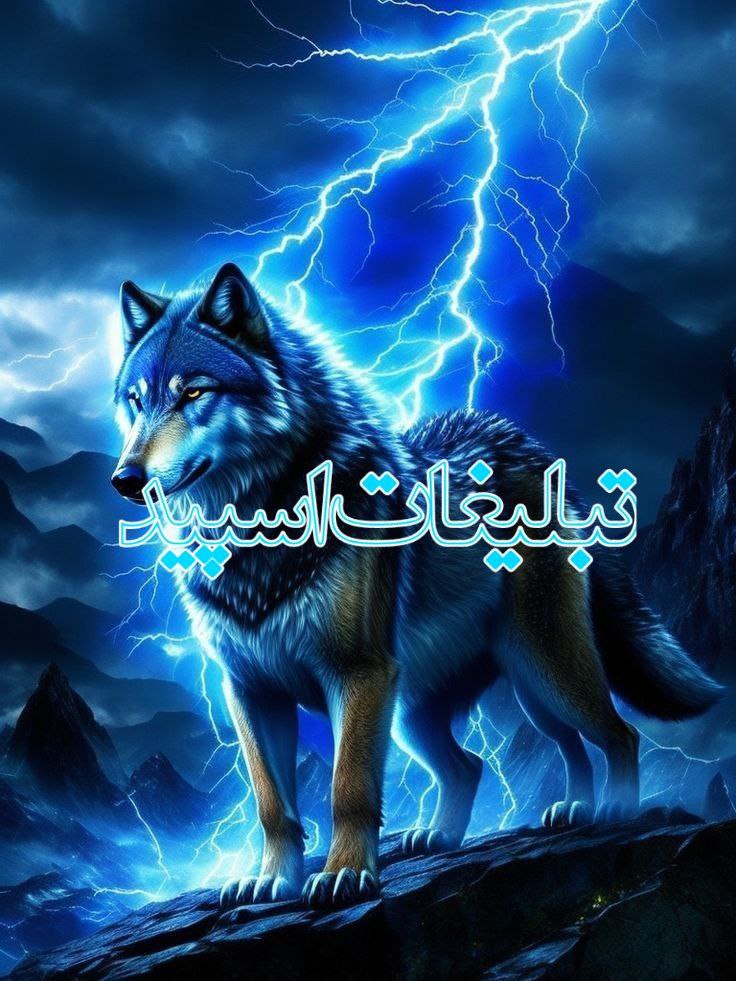 جذب نیروی کار (13)